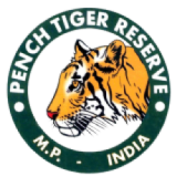 footer-pench-logo